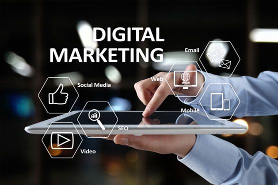 Why Your Calicut Business Needs a Professional Website in 2025